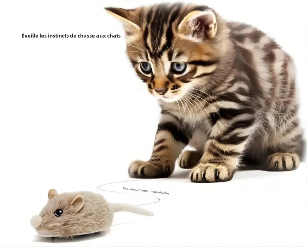 La souris à queue, le jeu intéractif qui va enchanter votre chat !