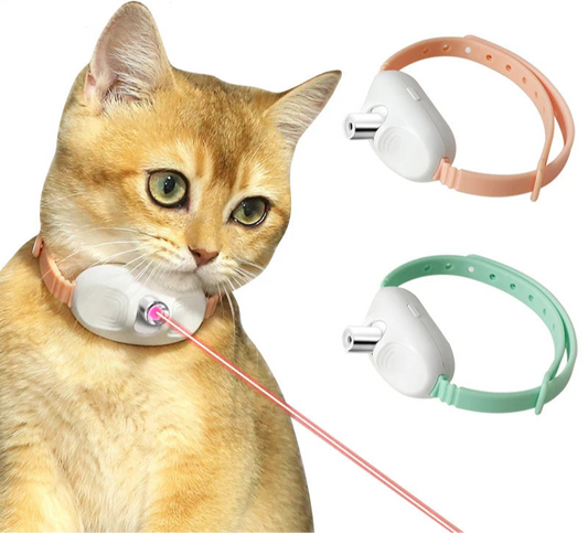 Colier magique laser pour chat