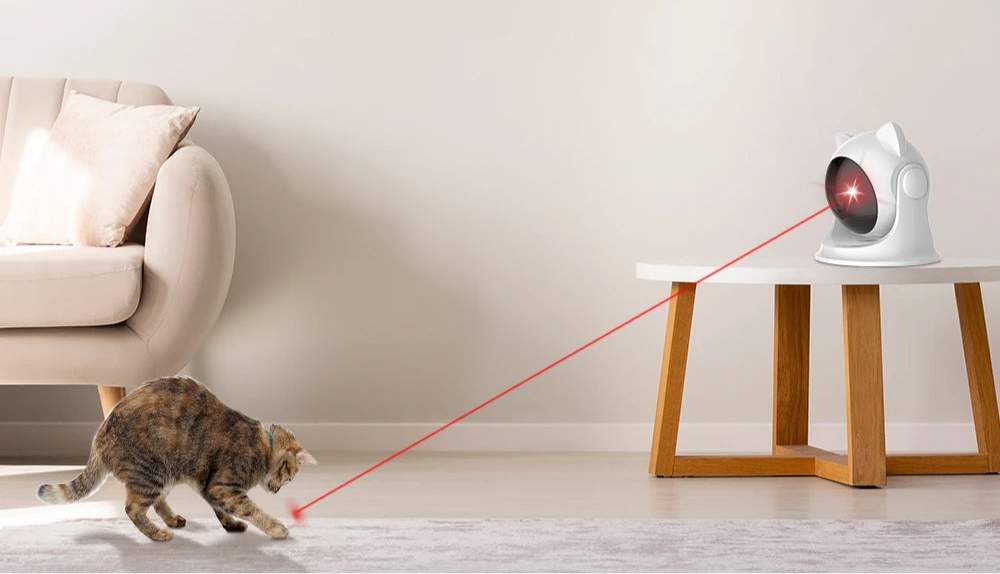 Le MeowMeows - Jouet Laser Automatique pour Chats