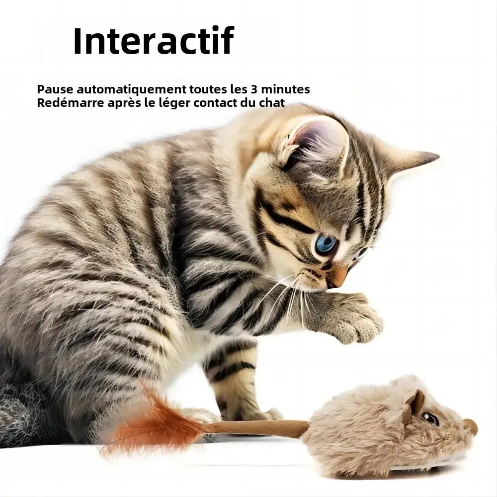 La souris à queue, le jeu intéractif qui va enchanter votre chat !