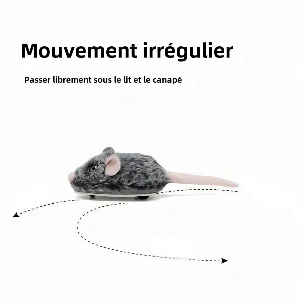 La souris à queue, le jeu intéractif qui va enchanter votre chat !